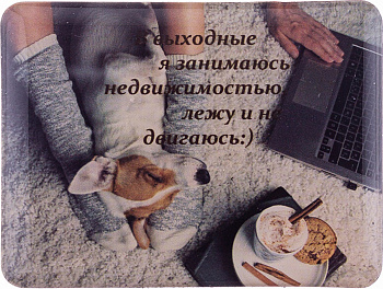 МАГНИТ "В ВЫХОДНЫЕ Я ЗАНИМАЮСЬ НЕДВИЖИМОСТЬЮ,ЛЕЖУ И НЕ ДВИГАЮСЬ" НАВЕСНАЯ С ПРОБКОВОЙ ОСНОВОЙ ДИАМЕТ