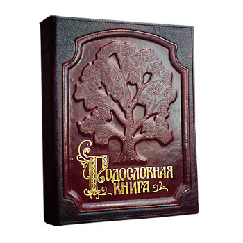 Альбом Родословная Книга "Изысканная"  кожаная обложка в оплетке PM-004-КК