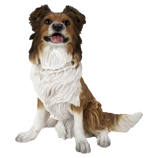 Картинка с сайта