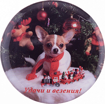 МАГНИТ "УДАЧИ И ВЕЗЕНИЯ" ДИАМЕТР= 5,5 СМ. (229-210)