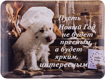 МАГНИТ "ПУСТЬ НОВЫЙ ГОД НЕ БУДЕТ ПРЕСНЫМ,А БУДЕТ ЯРКИМ,ИНТЕРЕСНЫМ 4,5*6 СМ. (229-217)