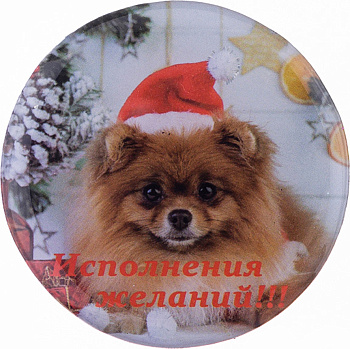 МАГНИТ "ИСПОЛНЕНИЯ ЖЕЛАНИЙ" ДИАМЕТР=5,5 СМ. (229-214)